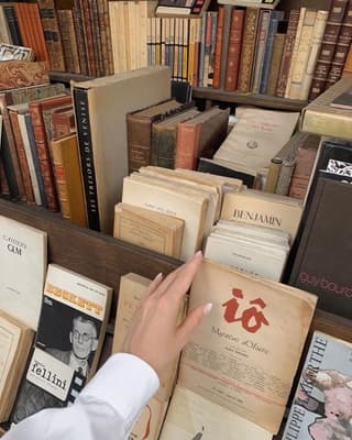 لجين الفقيه